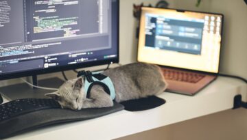 Jakie są perspektywy kariery po kursach programowania Java online?